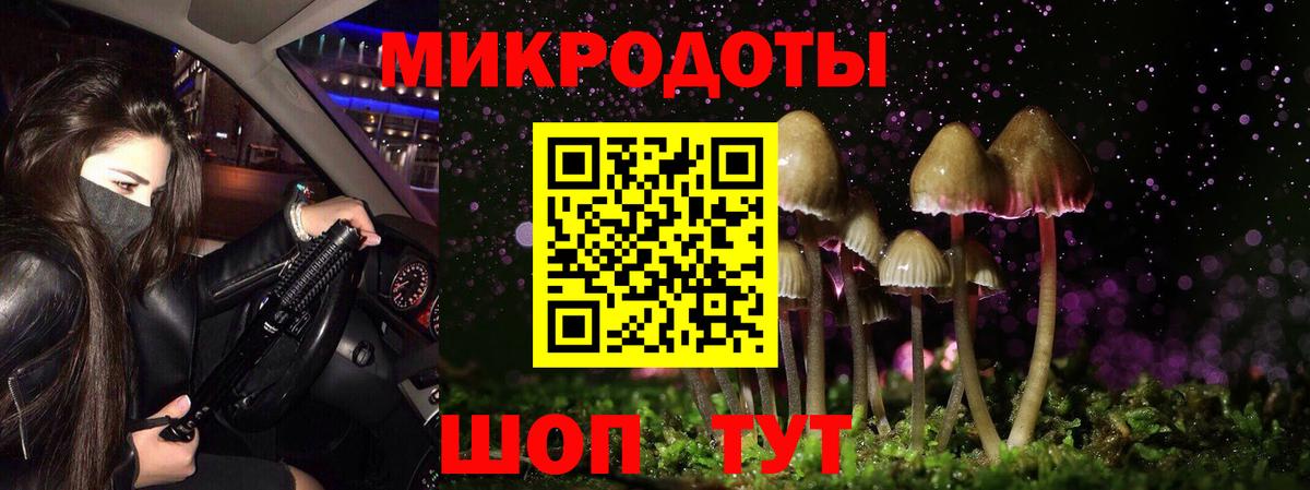 Спасск-Дальний  Галлюциногенные грибы GOLDEN TEACHER  Вход с VPN 