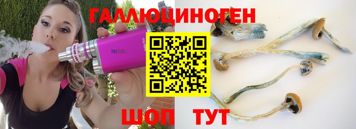 Галлюциногенные грибы прущие грибы Спасск-Дальний